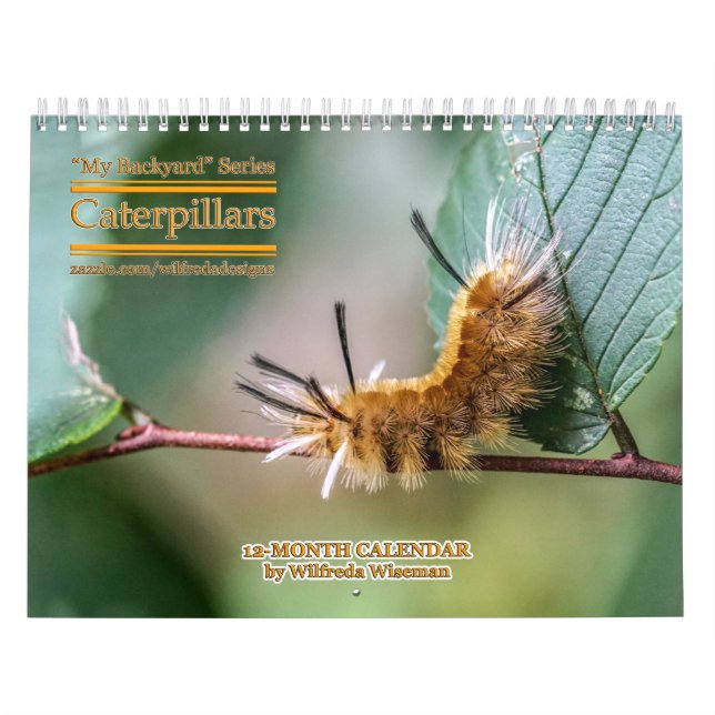 Calendário das lagartas da série quintal (Capa)