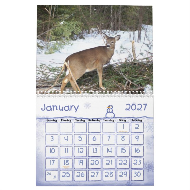 Calendário das madeiras & das águas 2013 de Maine (Jan 2027)