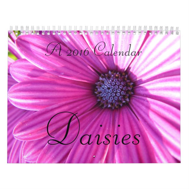 Calendário das margaridas 2016 (Capa)