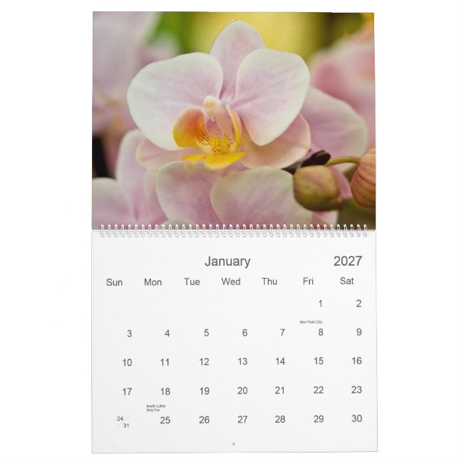 Calendário das orquídeas 2011 (Jan 2027)