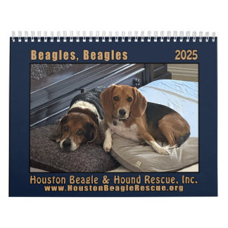 Calendário das paredes dos Beagles 2025