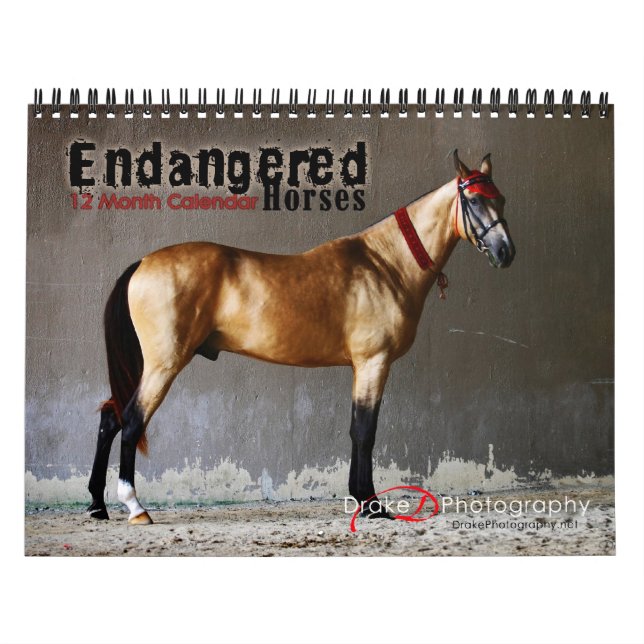 Calendário das Raças de Cavalos Ameaçados de 2011 (Capa)