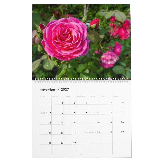 Calendário das rosas rosa (Nov 2027)