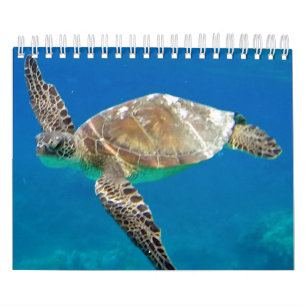 Calendário das tartarugas de Havaí