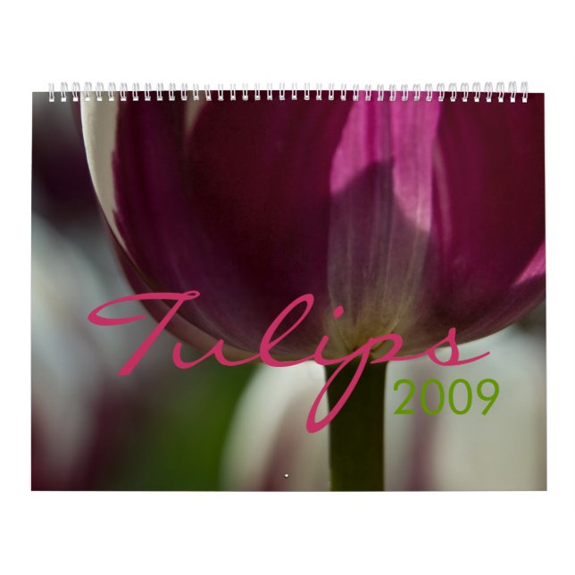 Calendário das tulipas 2009 (Capa)