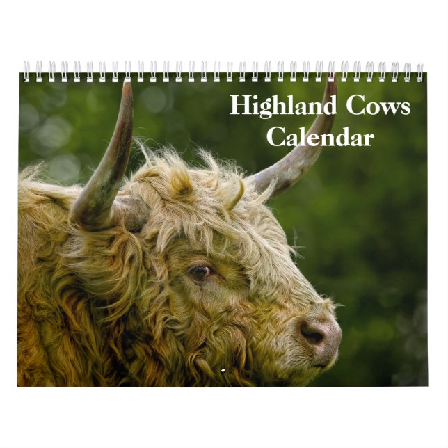 Calendário das Vacas do Highland 2025 (Capa)