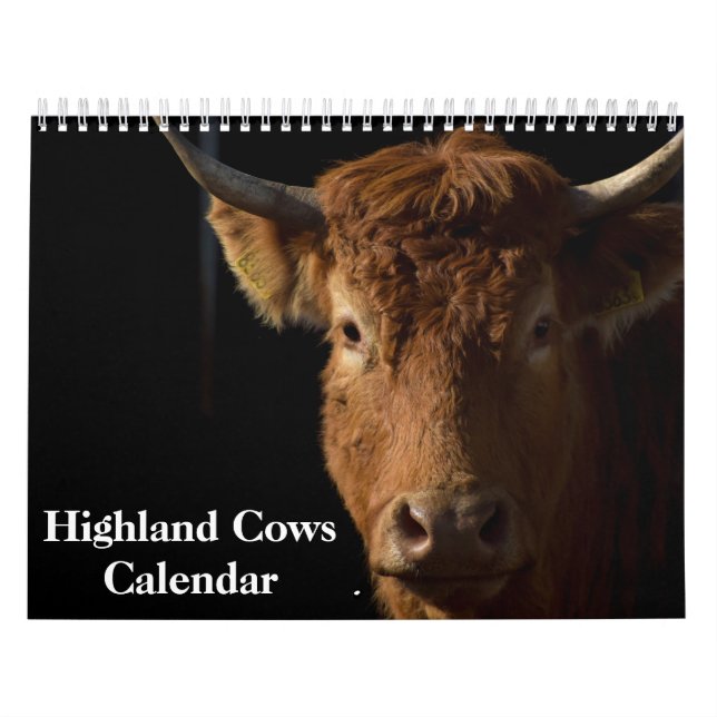 Calendário das Vacas do Highland 2026 (Capa)