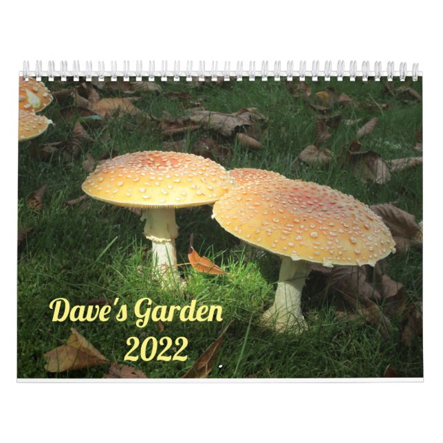 Calendário Dave's Garden 2022 Calendar (Capa)
