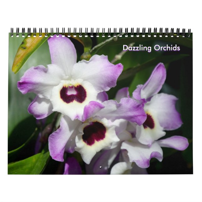 Calendário Dazzling Orchids (Capa)