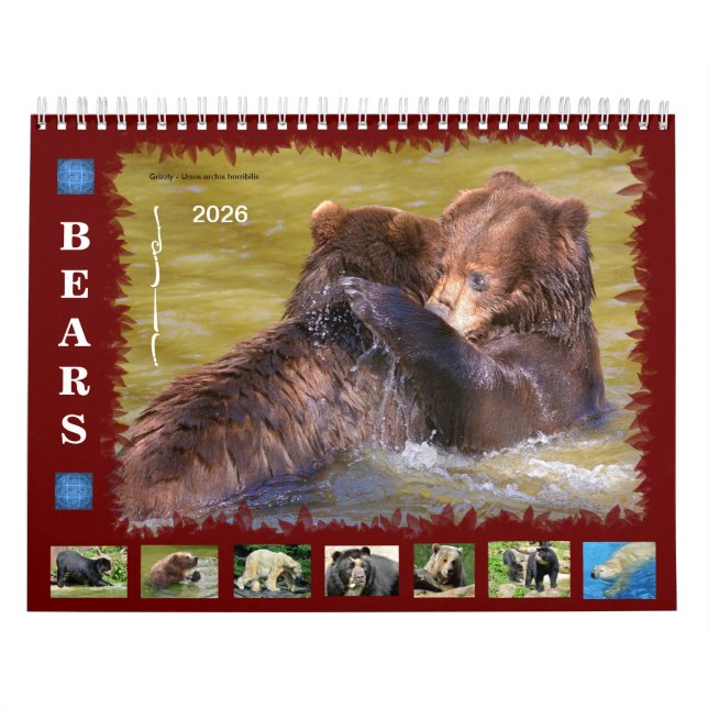 Calendário de 12 meses (Capa)