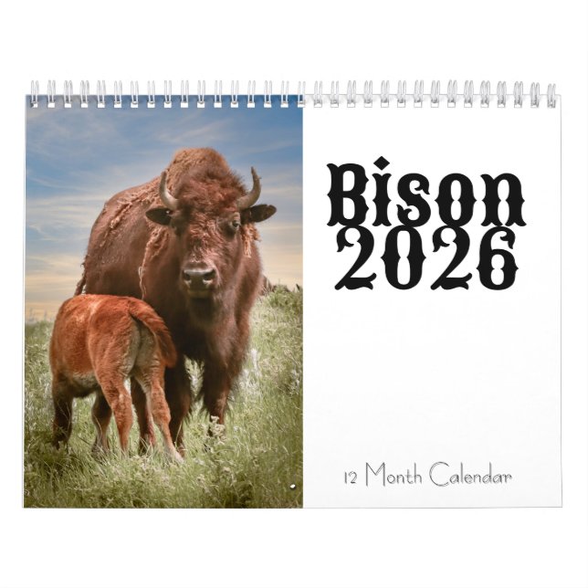 Calendário de 12 Meses do Bison 2026 (Capa)
