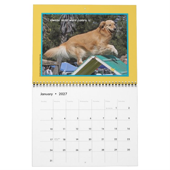 Calendário de 12 meses do ouro Retriever "Regra de (Jan 2027)