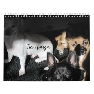 Calendário de 12 Meses para Cães de Emergência Peq