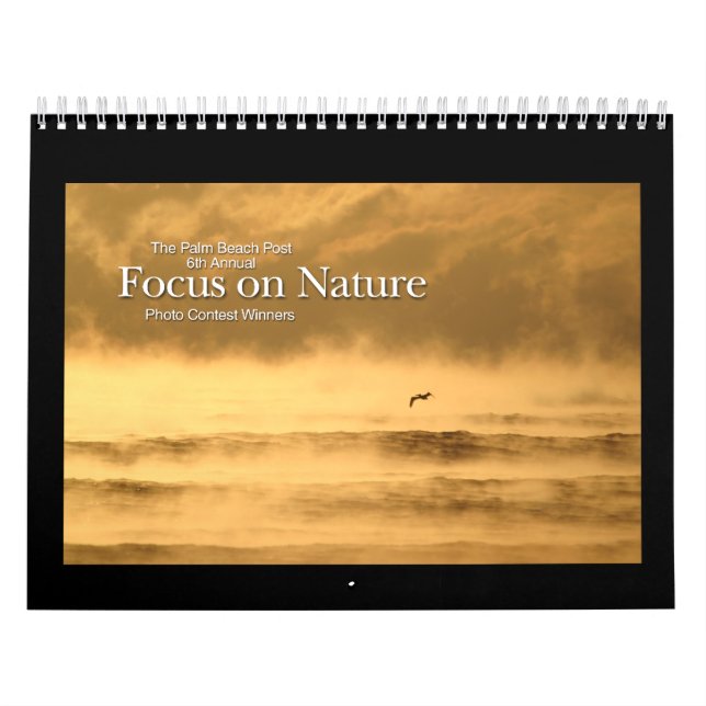 calendário de 12 vencedores do mês (Capa)