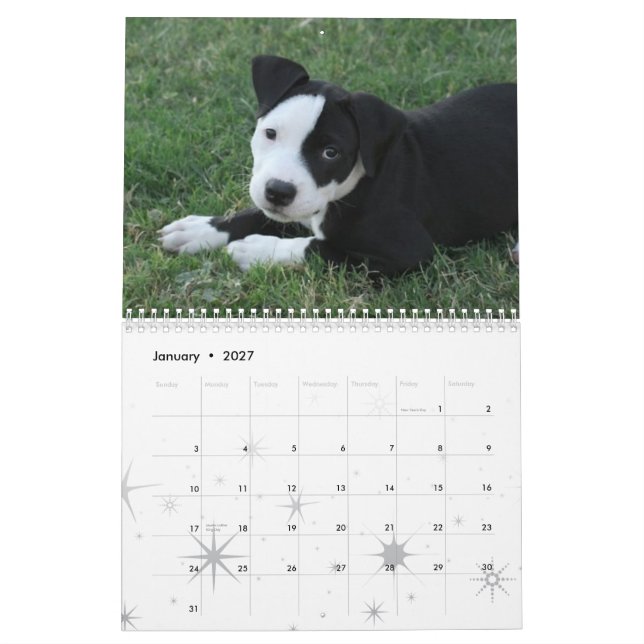 Calendário de 2009 filhotes de cachorro (Jan 2027)