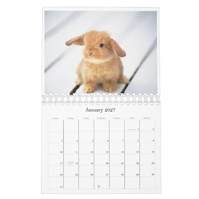 calendário de 2010 animais (Jan 2027)