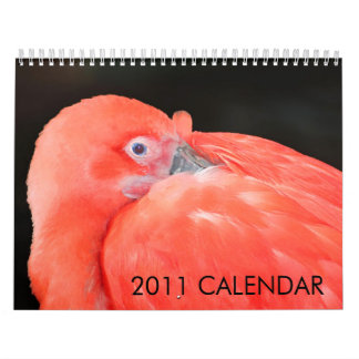 Calendário de 2011 animais criado pela galeria de