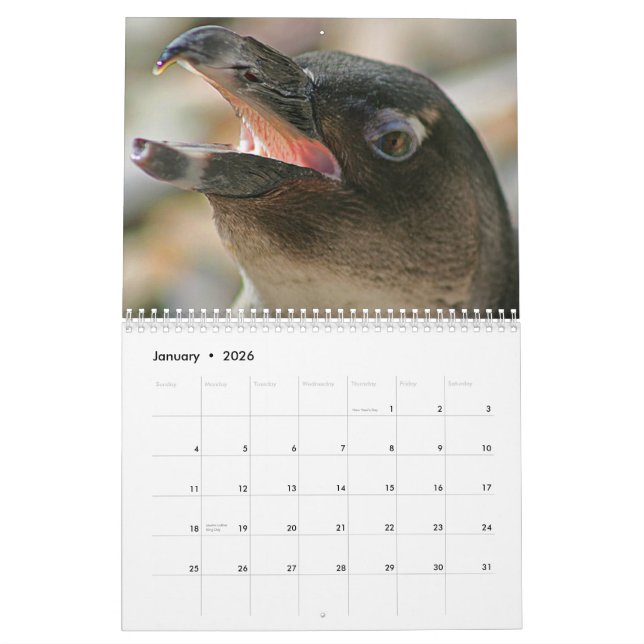 Calendário de 2011 animais criado pela galeria de (Jan 2026)