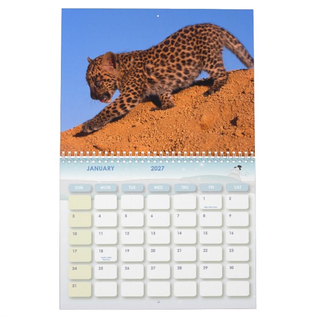 Calendário de 2011 leopardos (Jan 2027)