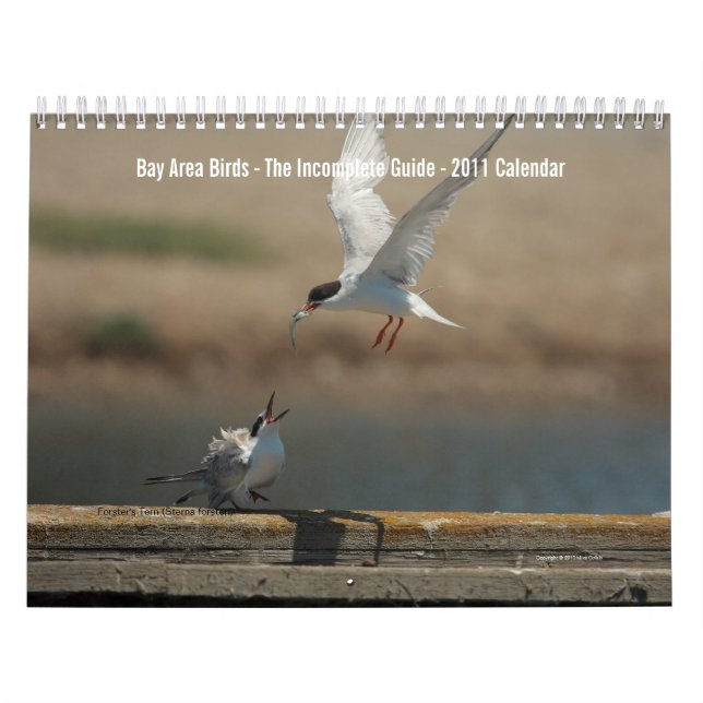 Calendário de 2011 sobre Aves da Área do Golfo (Capa)
