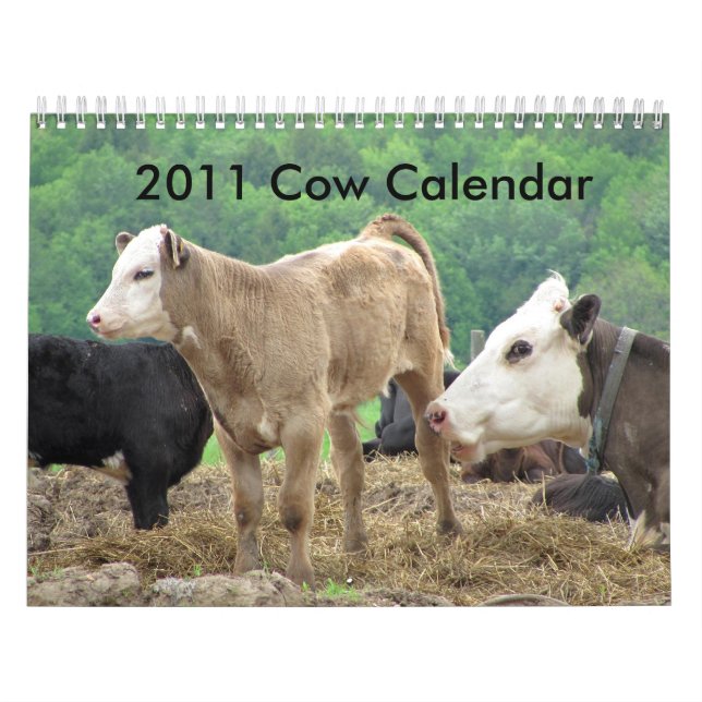 Calendário de 2011 vacas (Capa)