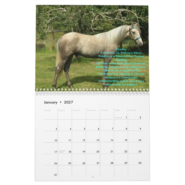 Calendário de 2012 cavalos de RTR (Jan 2027)