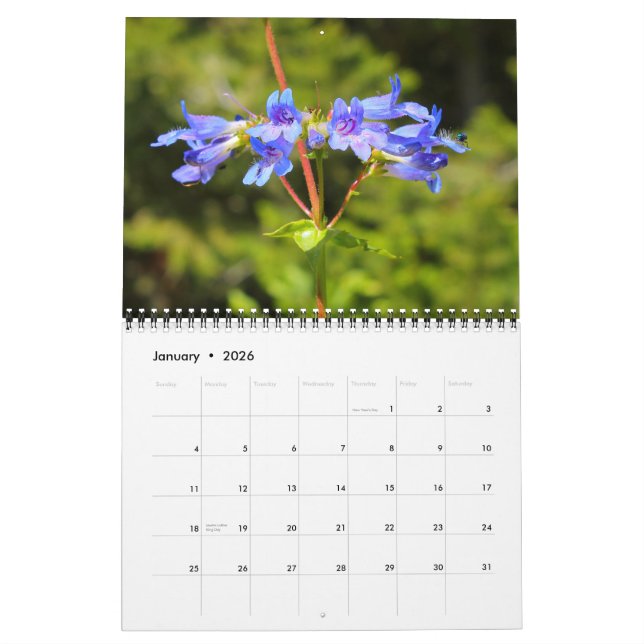 Calendário de 2012 do Big Sky Country Wildflower (Jan 2026)