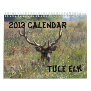 Calendário de 2013 alces