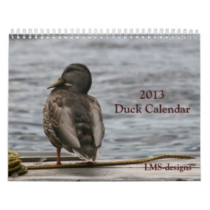 Calendário de 2013 patos