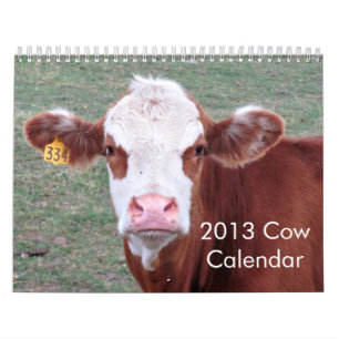 Calendário de 2013 vacas