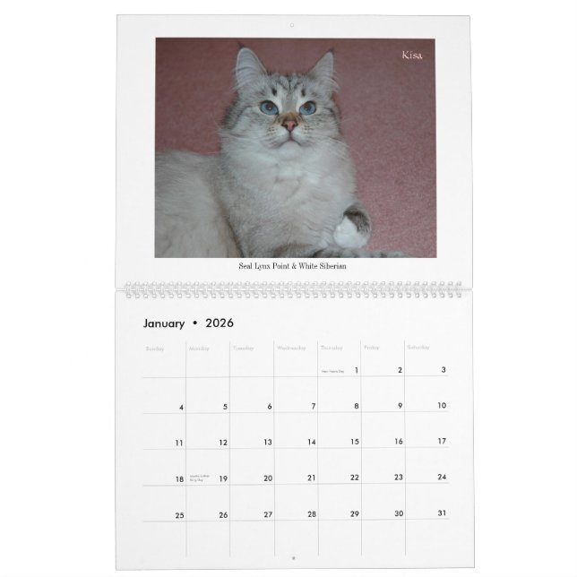 Calendário de 2014 dos Siberians gatos & de (Jan 2026)