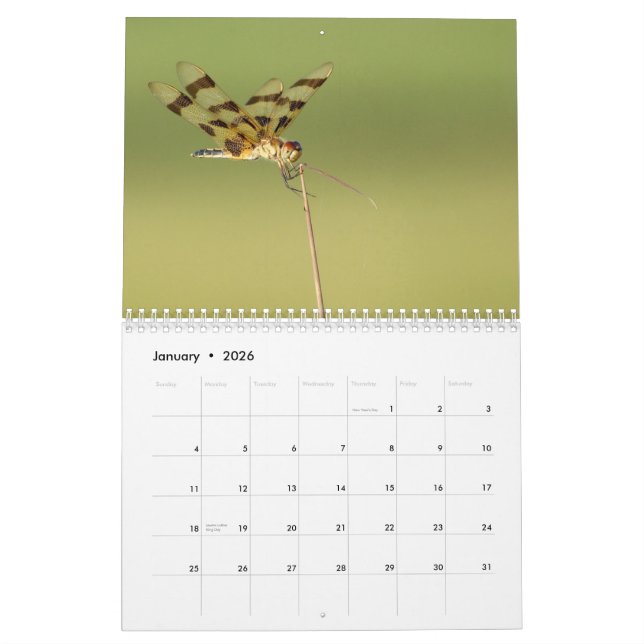 Calendário de 2014 libélulas e de Damselflies (Jan 2026)