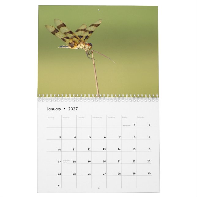 Calendário de 2014 libélulas e de Damselflies (Jan 2027)