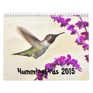 Calendário de 2015 colibris