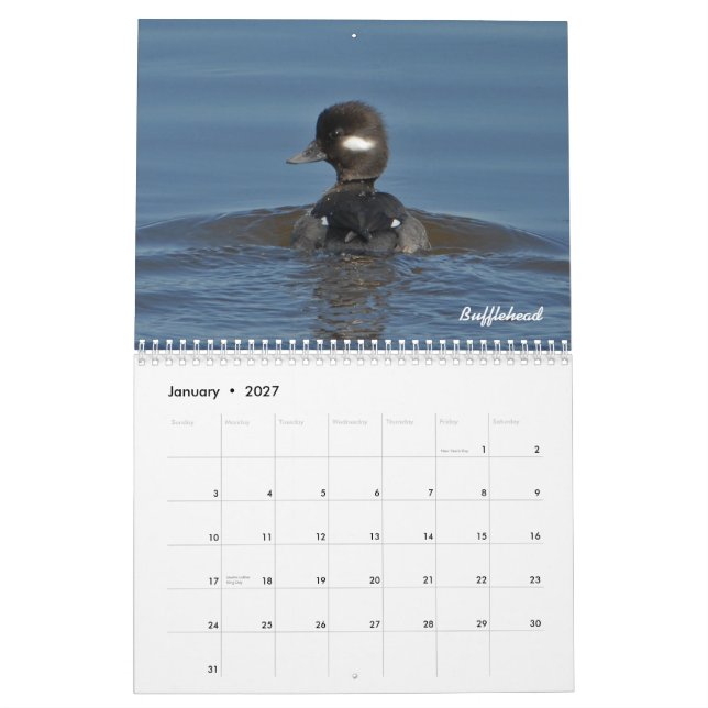 Calendário de 2015 patos (Jan 2027)