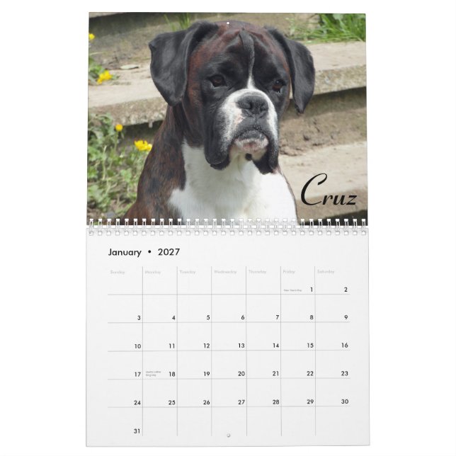 Calendário de 2015 pugilistas da mostra (Jan 2027)