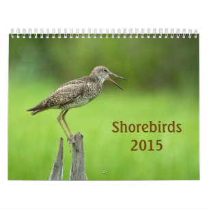 Calendário de 2015 Shorebirds