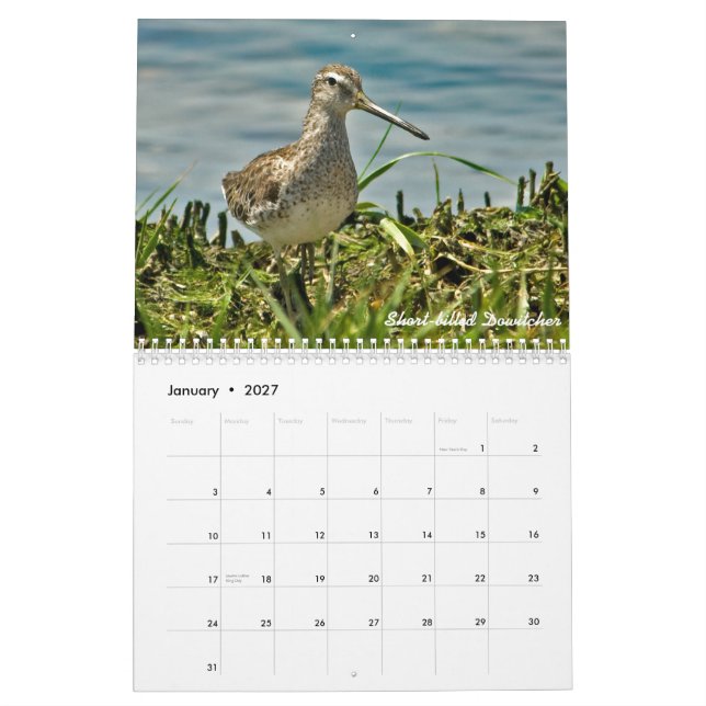 Calendário de 2015 Shorebirds (Jan 2027)