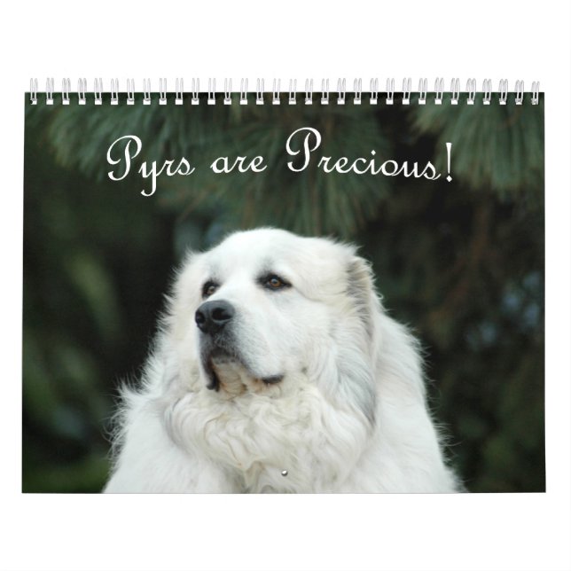 Calendário de 2016 grandes Pyrenees (Capa)