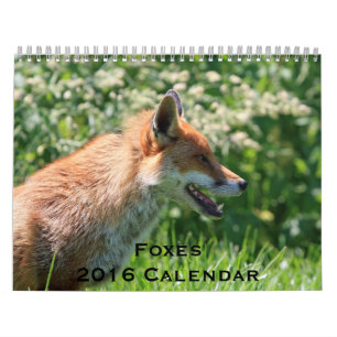 Calendário de 2016 para as raposas