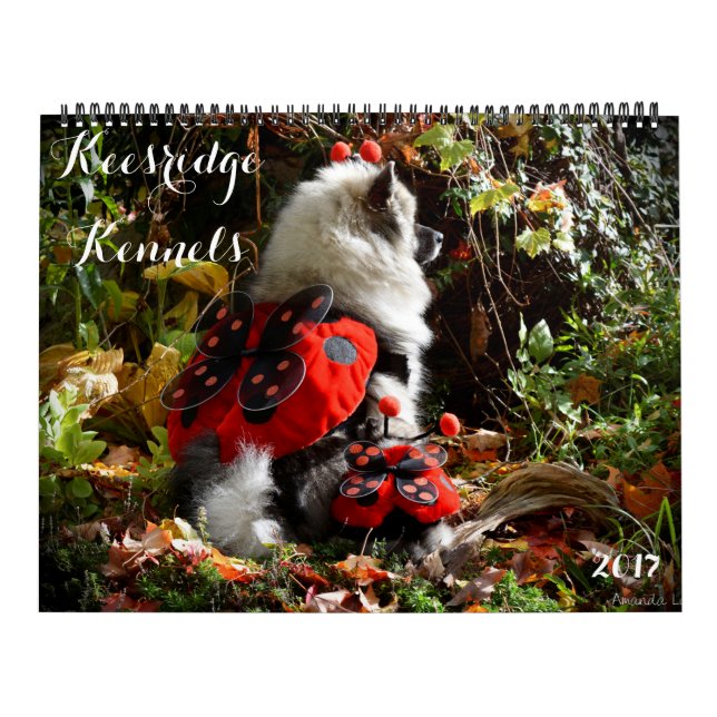 CALENDÁRIO DE 2017 CANIS DE KEESRIDGE (Capa)