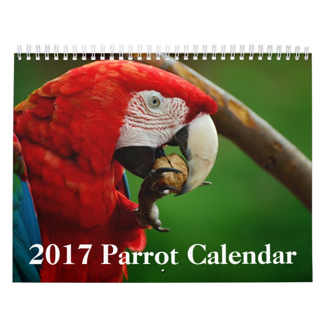Calendário de 2017 papagaios (Capa)