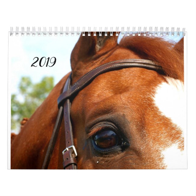 Calendário de 2019 fazendas customizável (Capa)