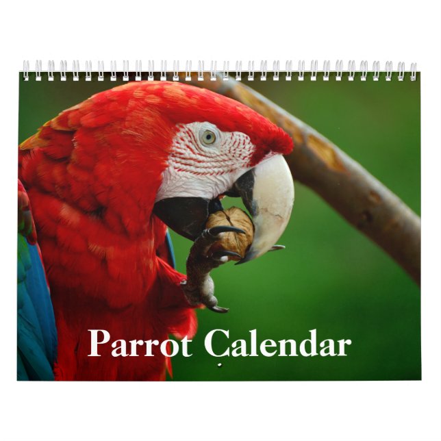 Calendário de 2020 (Capa)