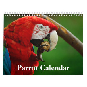 Calendário de 2020