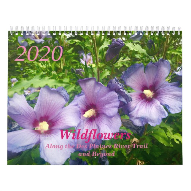 Calendário de 2020 (Capa)