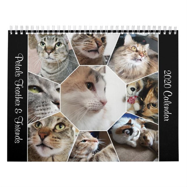 Calendário de 2020 Petals Feather & Friends (Capa)