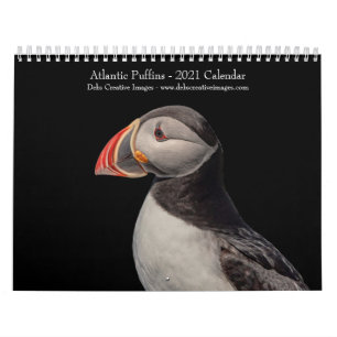 Calendário de 2021 de Atlantic Puffins