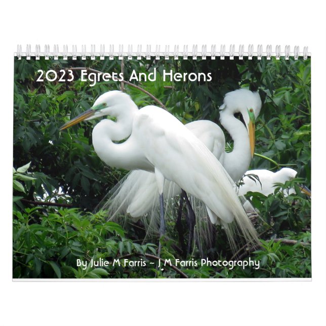 Calendário De 2023 Egrets E Herões 2 (Capa)