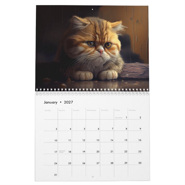 Calendário de 2024 de Gatos Deprimidos (Jan 2027)